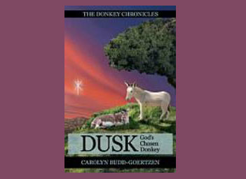 'Dusk' book cover